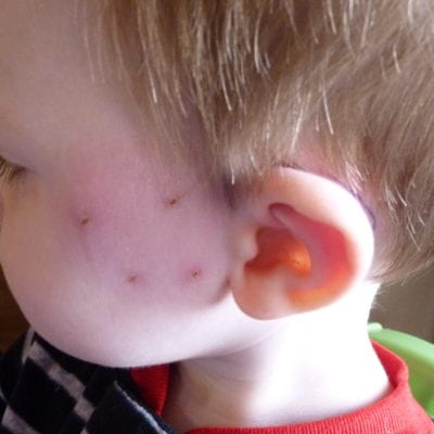 Vampires Have Nothing on my Cat