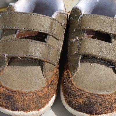 Please Accept My Apology For Being Socially Awkward