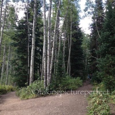 Post-Holiday Reality. I Don’t live in Downton Abbey.