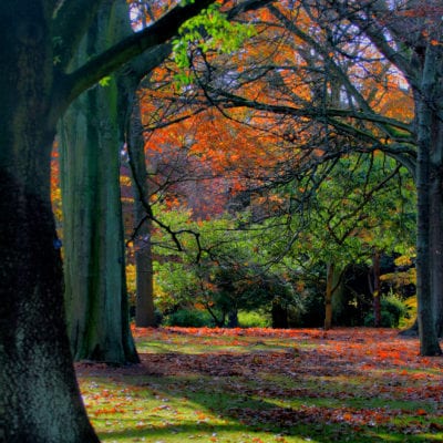 Tips for Taking Family Photos Yourself. (Or What NOT to Do)