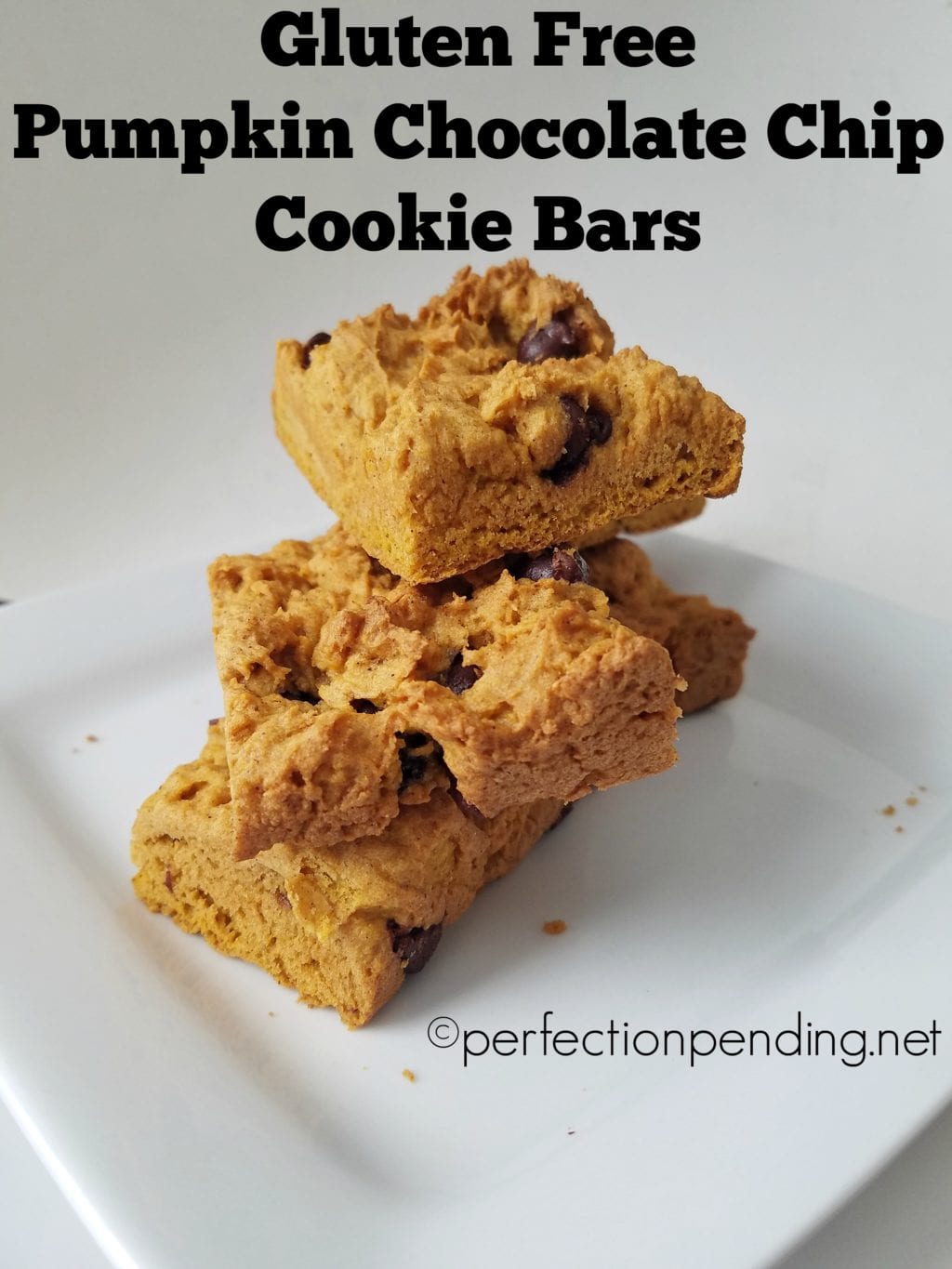 gluten-free-pumpkin-chocolate-chip-cookie-bars