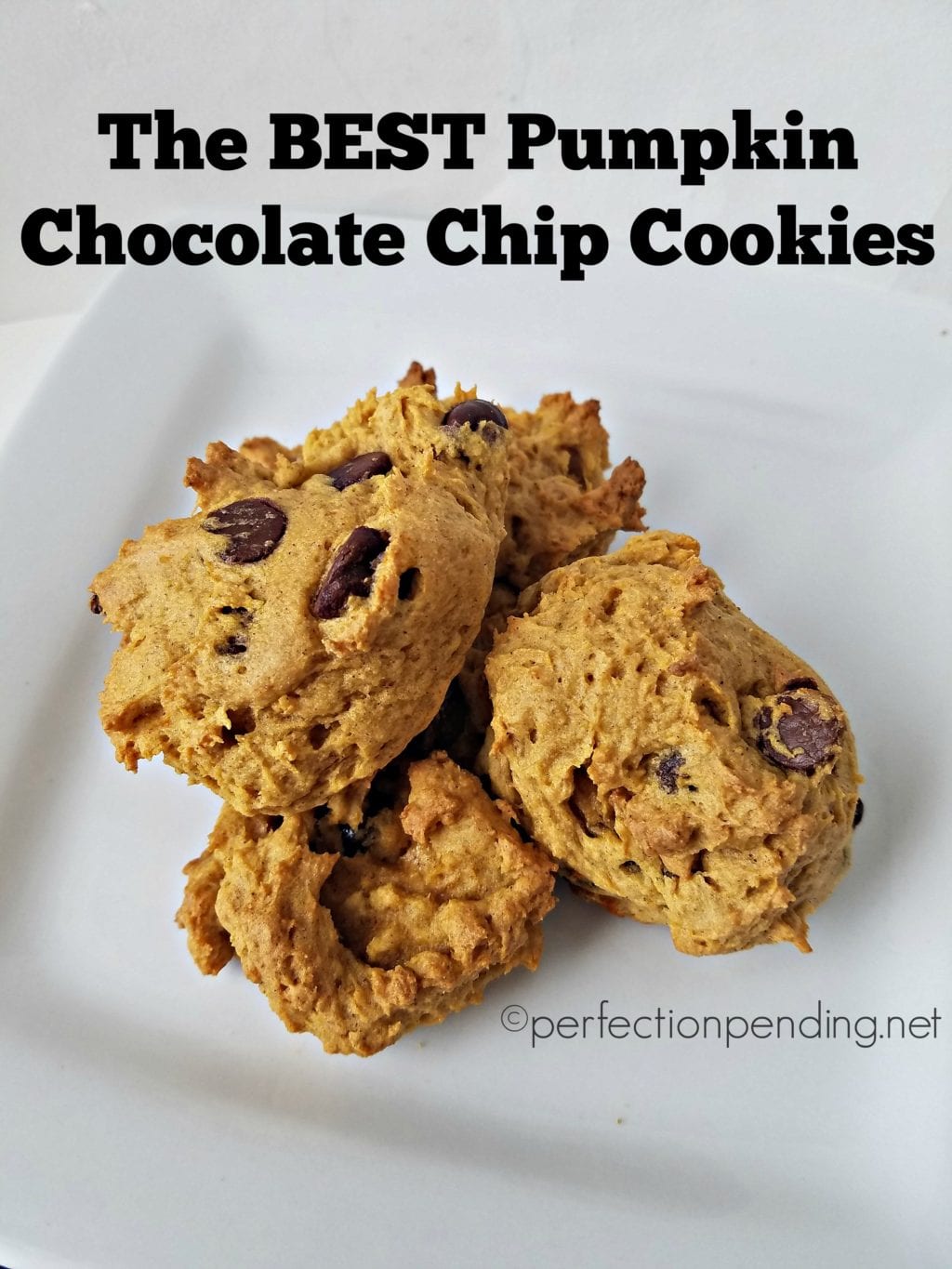 the-best-pumpkin-chocolate-chip-cookies