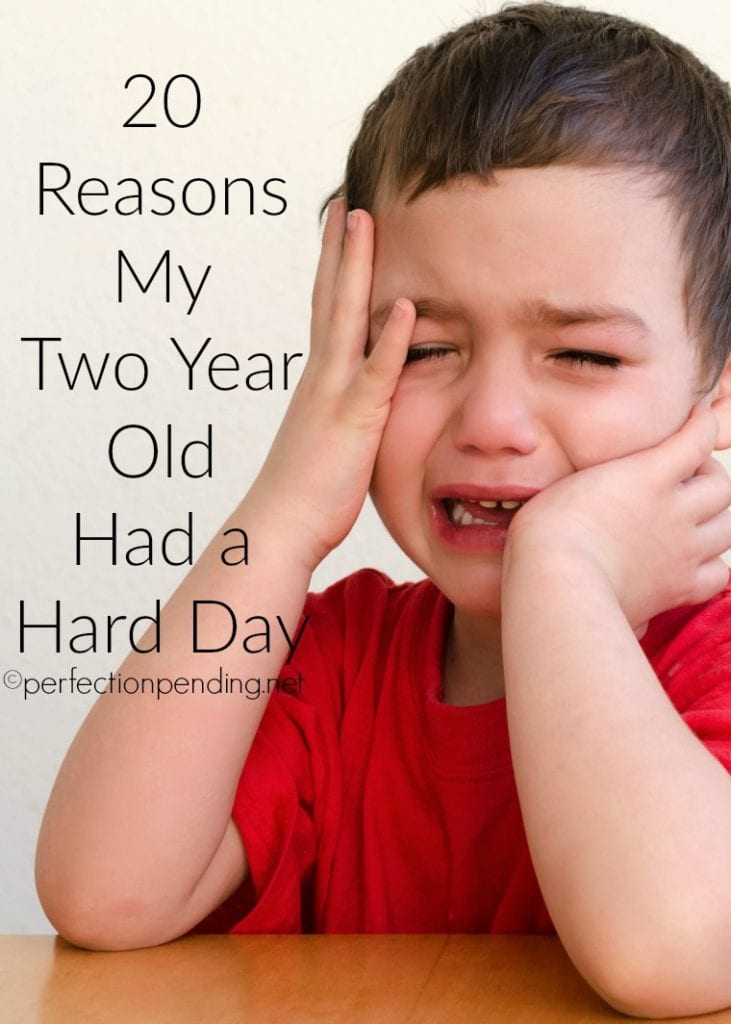 20 Reasons My Two Year Old Had a Hard Day