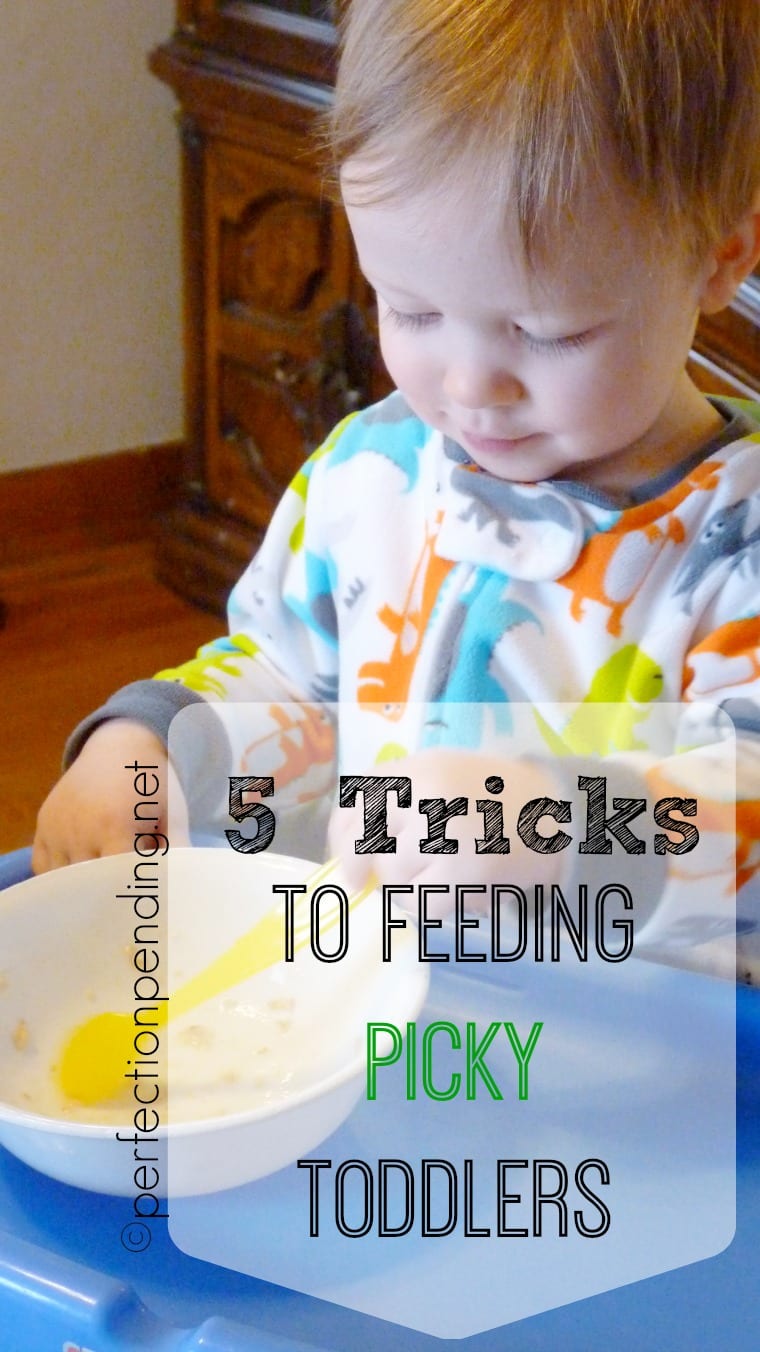 5 Tricks To Feeding Picky Toddlers Perfection Pending