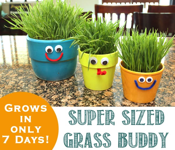 Grass+Buddy+Kids+Homeschool+Activity