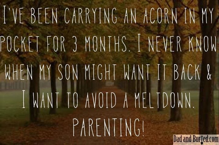 12115518_959236320801752_4732628426251034724_n