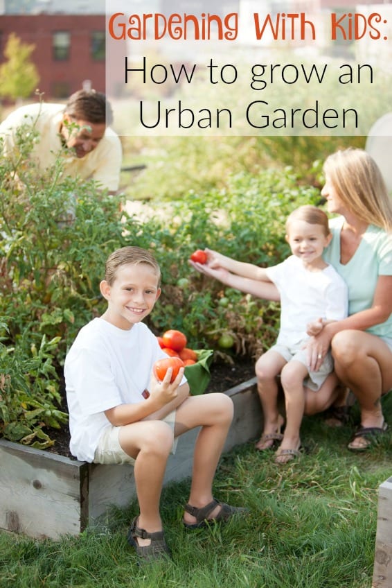 A full length image of a caucasian real family picking vegetables together in a garden for healthy eating. Riley, Logan, Sarai, MIke Underwood