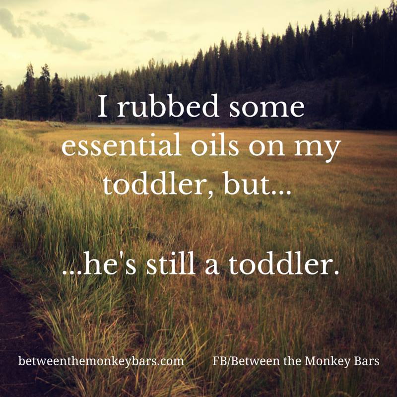 12495198_1536113463384053_3171776347326015291_n