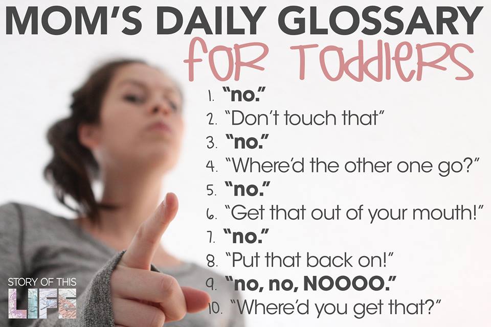 12540765_909141415870016_4051266635907185389_n