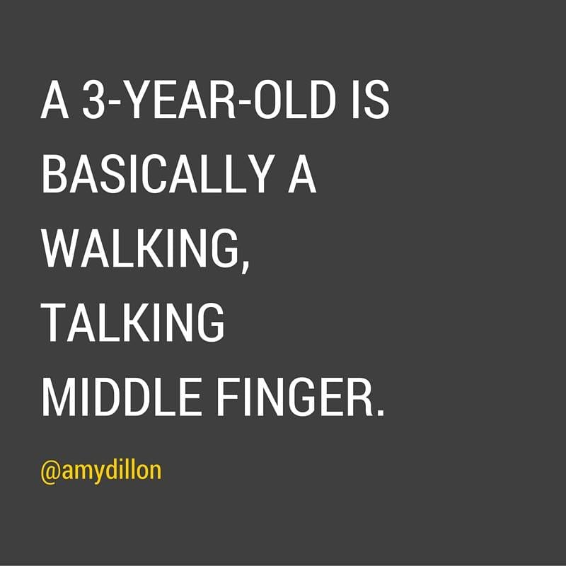 12651013_1003120539767257_2542817990597007141_n