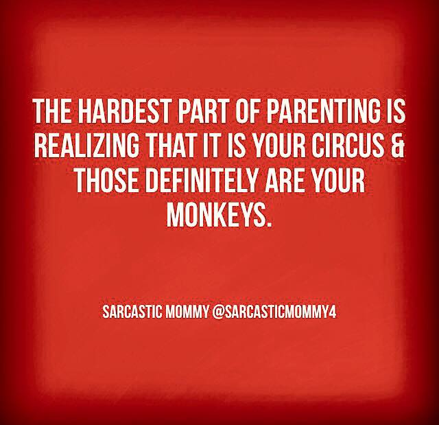 940940_576907869132452_3450920109622412176_n