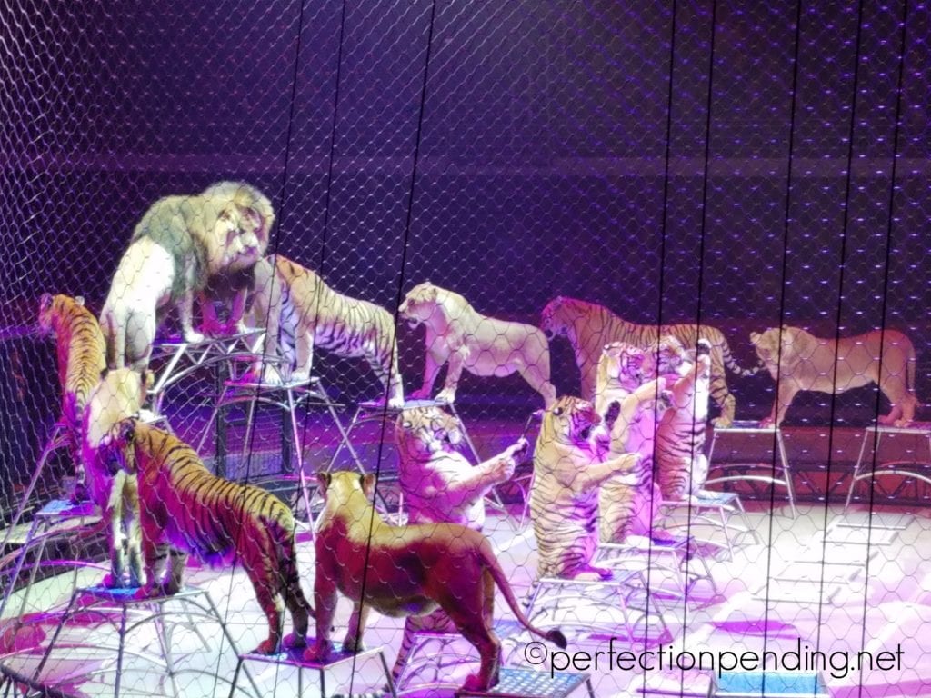 That Time We Took Our Crazy Circus to The Ringling Brothers Circus