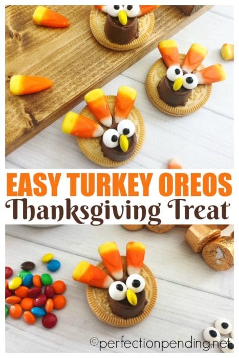 These easy oreo thanksgiving turkey cookies are the best five minute treat you can put together with your kids. Made with golden oreos, rolls, and candy corns, they make a great cookie recipe for Thanksgiving or fall! Perfect for family gatherings, too. #thanksgiving #turkeycookies #cookierecipe #fallcookies #fall #thanksgiving #turkeytreat