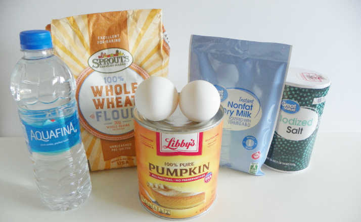 photo of pumpkin dog treats ingredients on white background