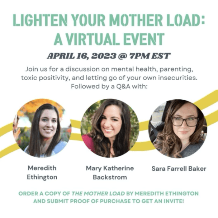 Perfection Pending By Meredith Ethington