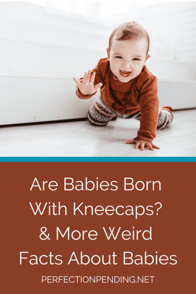 Baby kneecaps cheap